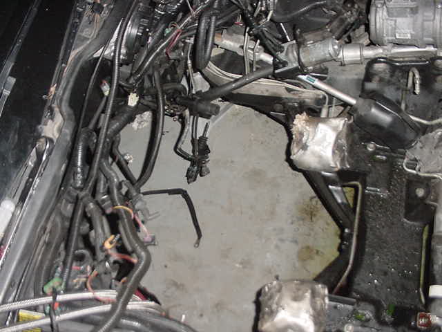 MVC-023S.JPG